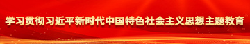 女人的橾BBB学习贯彻习近平新时代中国特色社会主义思想主题教育